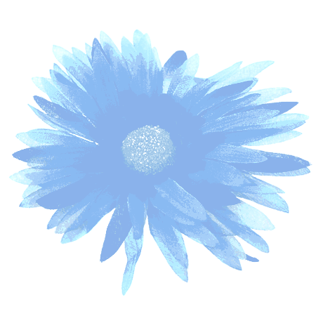 Błękitny sztuczny gerber